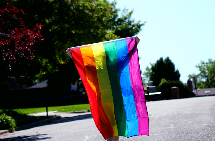 Image of a person holding a gay pride flag.