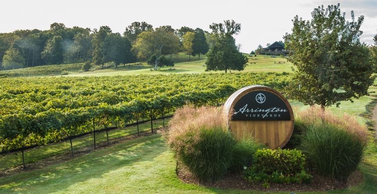 Image of Arrington Vineyards in Arrington, TN.