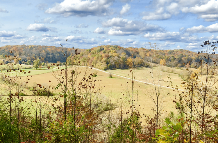 Image of rolling hills on a sunny day in Tennessee in the fall