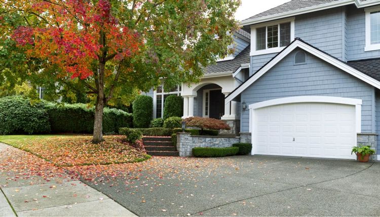 An image of the front of a single family home and a tree that is in the front yard whose leaves are changing colors