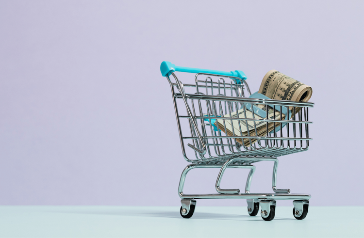 Image of a toy shopping cart with twenty-dollar bills inside