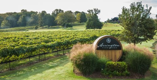 Image of Arrington Vineyards in Arrington, TN.