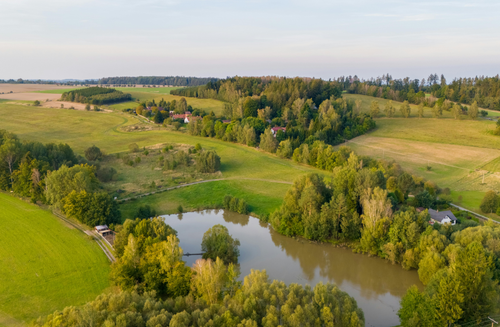 Ultimate Guide to Living in Williamson County [Updated 2024]