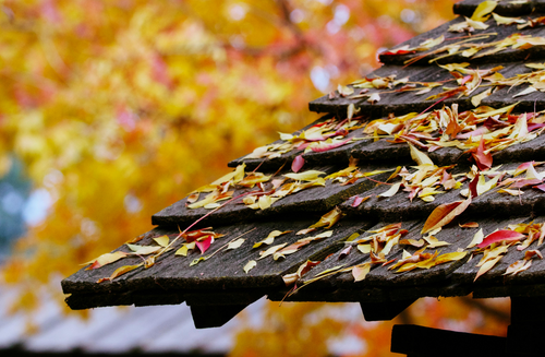 2025 Predictions and November Highlights: Nashville Market Update