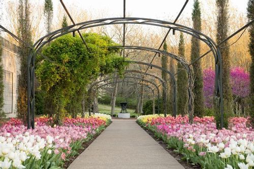 Image of Cheekwood Botanical Gardens located near Bellevue in Nashville.